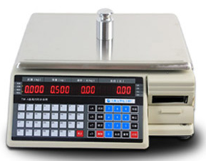 Electric Scale with printer ACS-PB